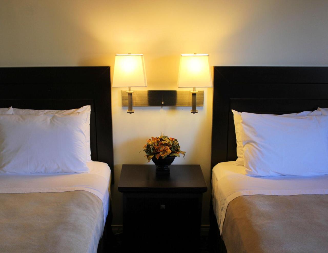 Coronet Hotel Prince Albert Εξωτερικό φωτογραφία